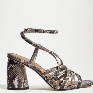 Sam Edelman Daffodil Taupe Snake Print Strappy Heel Sandal 6.5